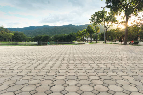 Best Driveway Pavers Near Me  in Clayton, NC